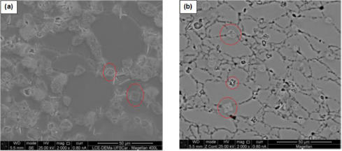 Alisson_Mendes's tweet photo. Anomalous Avrami index recorded during the non-isothermal crystallization of borotitanosilicate glass powders
https://t.co/pUMiXP6Gez https://t.co/BaIMwe4WsW