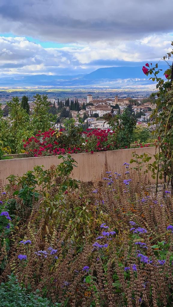Adjecttweets's tweet photo. @buck_ingrid Liefs en groeten uit Spanje, de foto is van Granada. 
We leven dank zij Mineke met jullie mee. Hopelijk tot snel.
 Kees Kerkhoven https://t.co/zvgbJfHxSE