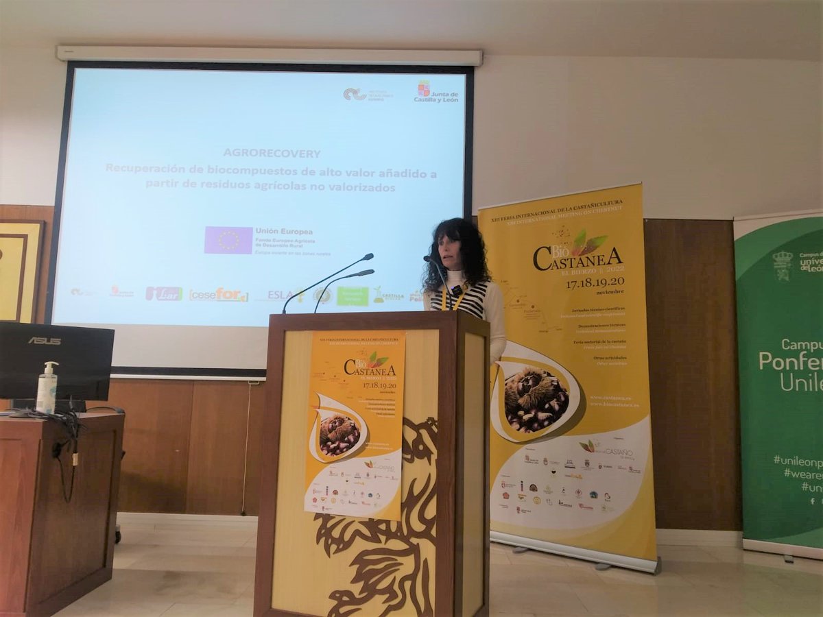 ITACYL's tweet photo. Seguimos en  @BioCastanea. Hoy, nuestra compañera Ana I. Paniagua, del Centro de Innovación en Bioproductos Agroalimentarios #CIBAG aborda cómo 'Crear valor a partir de los subproductos de la #castaña'
#ITACyL #Bioeconomy https://t.co/lc04ivcpYj