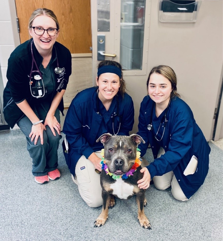 Tweet by Purdue Veterinary Medicine