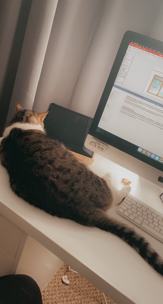 PUNC22_Nicole's tweet photo. I’m glad I bought the bigger desk 😅 Brambles getting in on the learning for today #NRS411 lecture today.
#punc22 https://t.co/P2lm6QrvFN