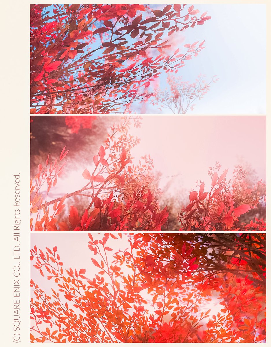 for_xivss's tweet photo. ギラバニアの紅葉
#FF14風景 https://t.co/ATASzsBxD9