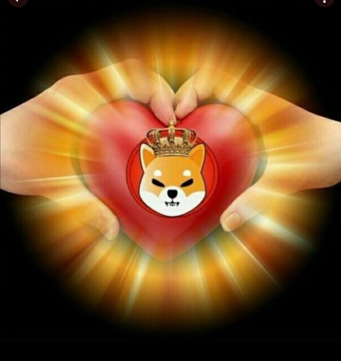 <a href="/SHIBROCKSTAR/">#SHIB🟥ROCKSTAR🟧⬜🟩⬆️</a> <a href="/needazar/">Dr. Pedram Argha</a> <a href="/thorgod21/">thorgod21</a>