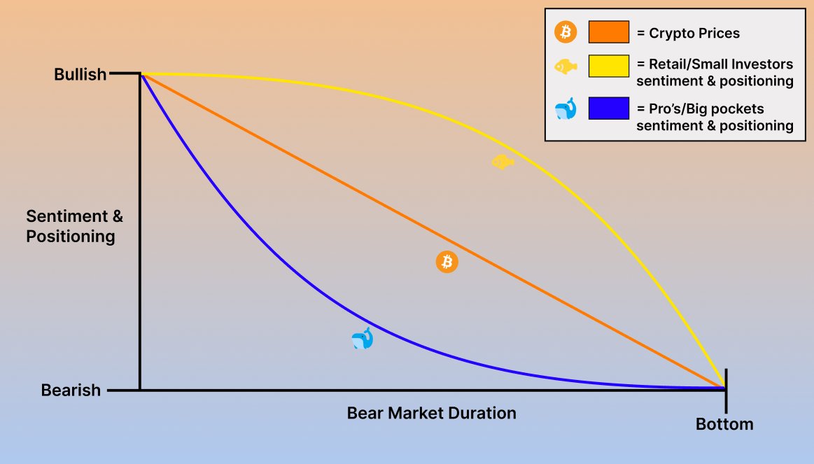 Sentiment &amp; Positioning Throughout the Bear Cycle (Visualized) 📚

1/8