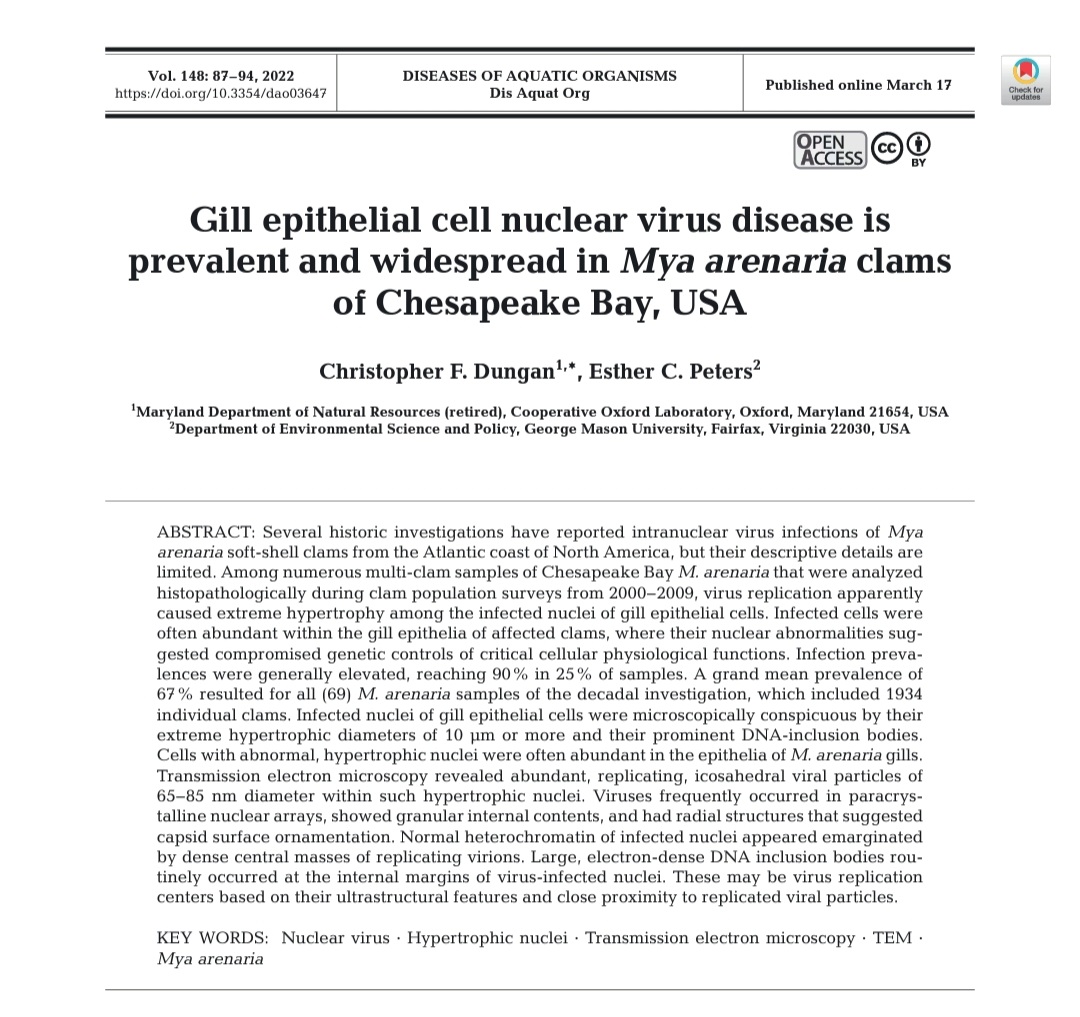 This week, we're highlighting a recent publication titled: "A gill epithelial cell nuclear virus disease of Mya arenaria is prevalent and widespread in clams of Chesapeake Bay, USA."
Check out the abstract (pictured) and read this open access paper here: doi.org/10.3354/dao036…
