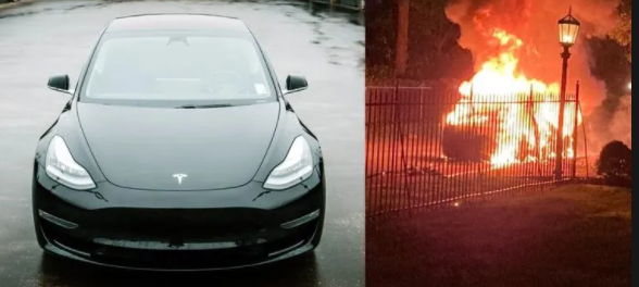 Elon Musk has proven himself to be every bit the whiny, bitchy, privileged, childish, indulged, give me attention, bad at business, Twitter troll, and snowflake as Trump.

If Twitter goes down in flames, at least it will be something he's used to.
#RIPTwitter #TwitterDown