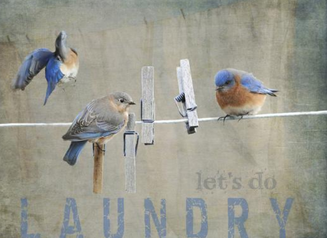 LaundryShoppe's tweet photo. #artistJaiJohnson https://t.co/U7JbilQCrO
