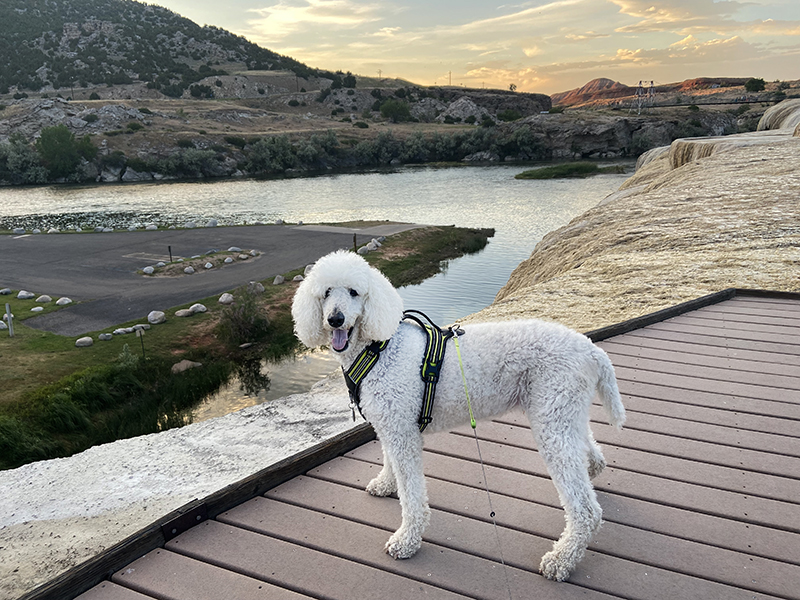 OurBigAdventure's tweet photo. We are back at Hot Springs State Park again - this time for sunset!  The park still isn't very busy and we love being the only people th... https://t.co/QjtO11BChi
