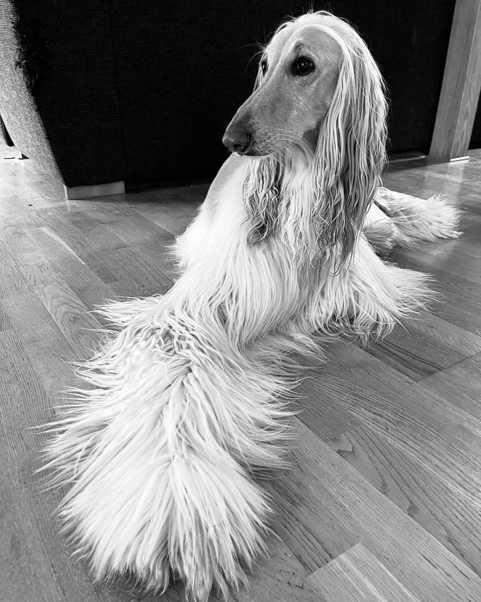 There is something very special with photos in black and white. The motive in the photo gets so real and honest.