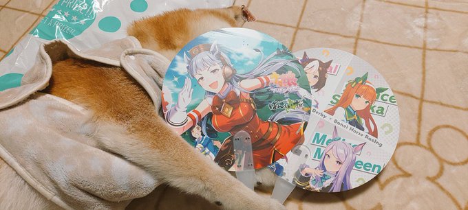 もらった 