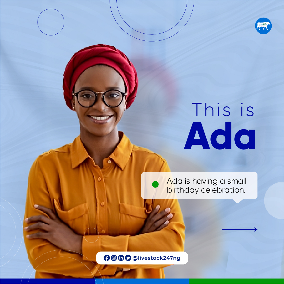 livestock247ng's tweet photo. Do you require a cow-sharing plan?
Do you not have anyone to share the cow with?
We are here to help you.
Be like Ada today, Call us right away.
Call/Whatsapp 09079961680 to purchase now or visit https://t.co/siO1zaR6gF
#livestock247 #livestock #meat247 #farming #meatsharing https://t.co/uIkHtWa5xD