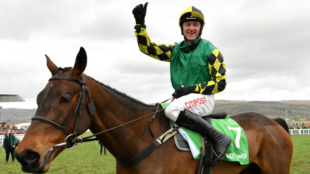 rebcurtis's tweet photo. Happy retirement to Lisnagar Oscar. Thank you for giving me one of my best days in racing when winning the World Hurdle at the Cheltenham Festival. He was a little star and always punched above his weight. I'm happy he'll enjoy an easier life now which is what he deserves 😊😊 https://t.co/1Cr9rbO0qp
