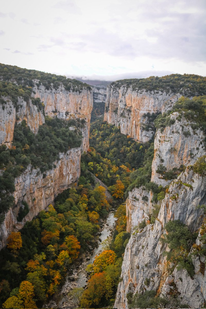 Ana.fase00 tweet media