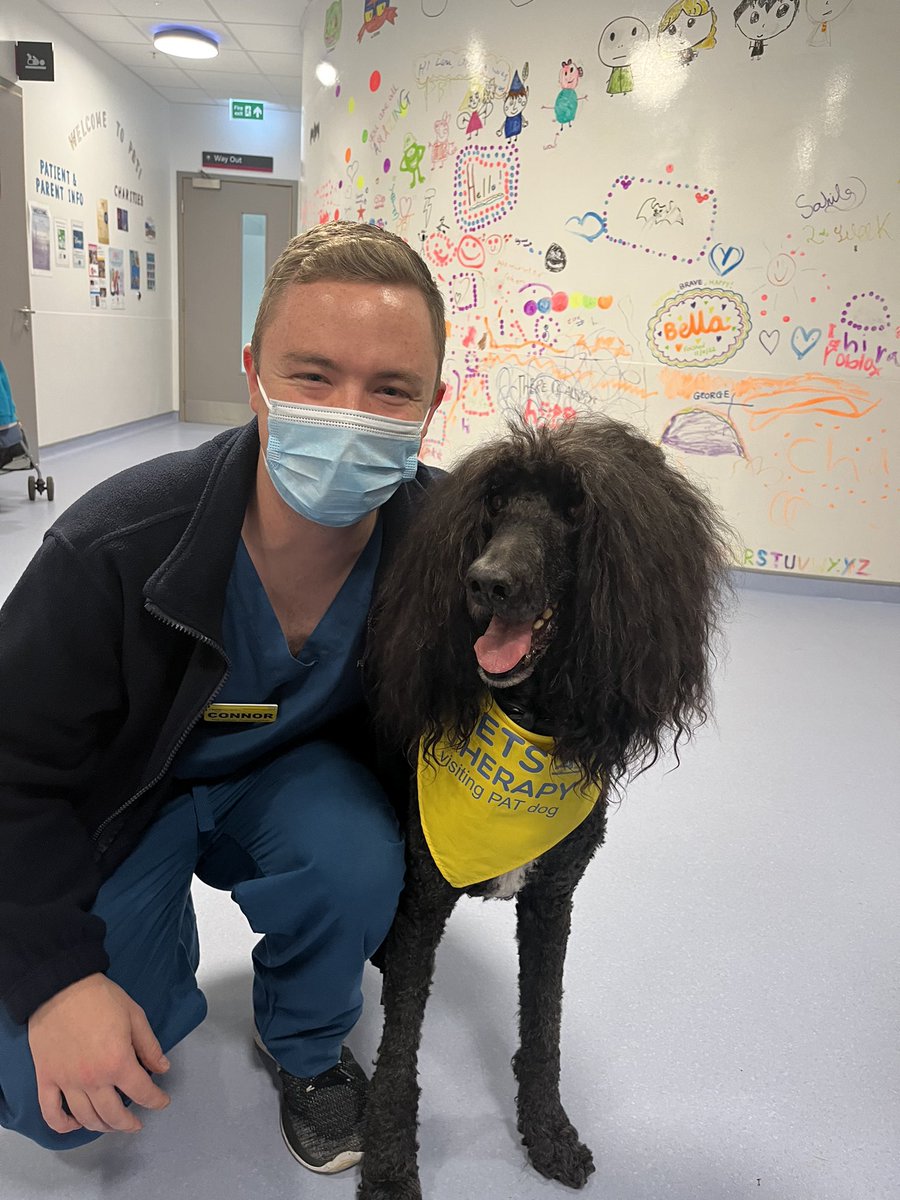 Another day another dog 🐶 

#therapydog #uclh #therapeuticradiographer  <a href="/spreadasmileuk/">Spread a Smile</a> <a href="/uclh/">UCLH</a> @rad__chat <a href="/ARC_NetUK/">Action Radiotherapy Champions Network</a>