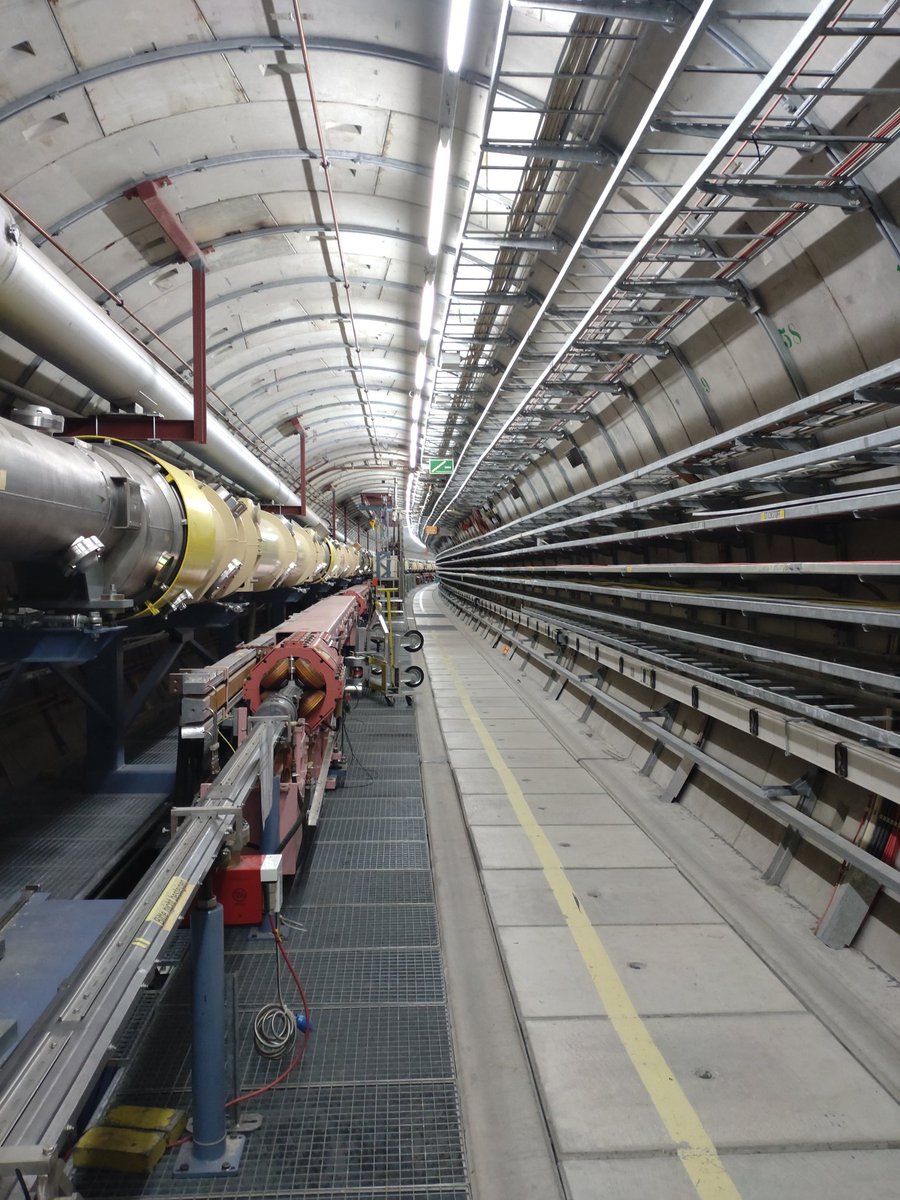 Charlotte Schwenner tweet media