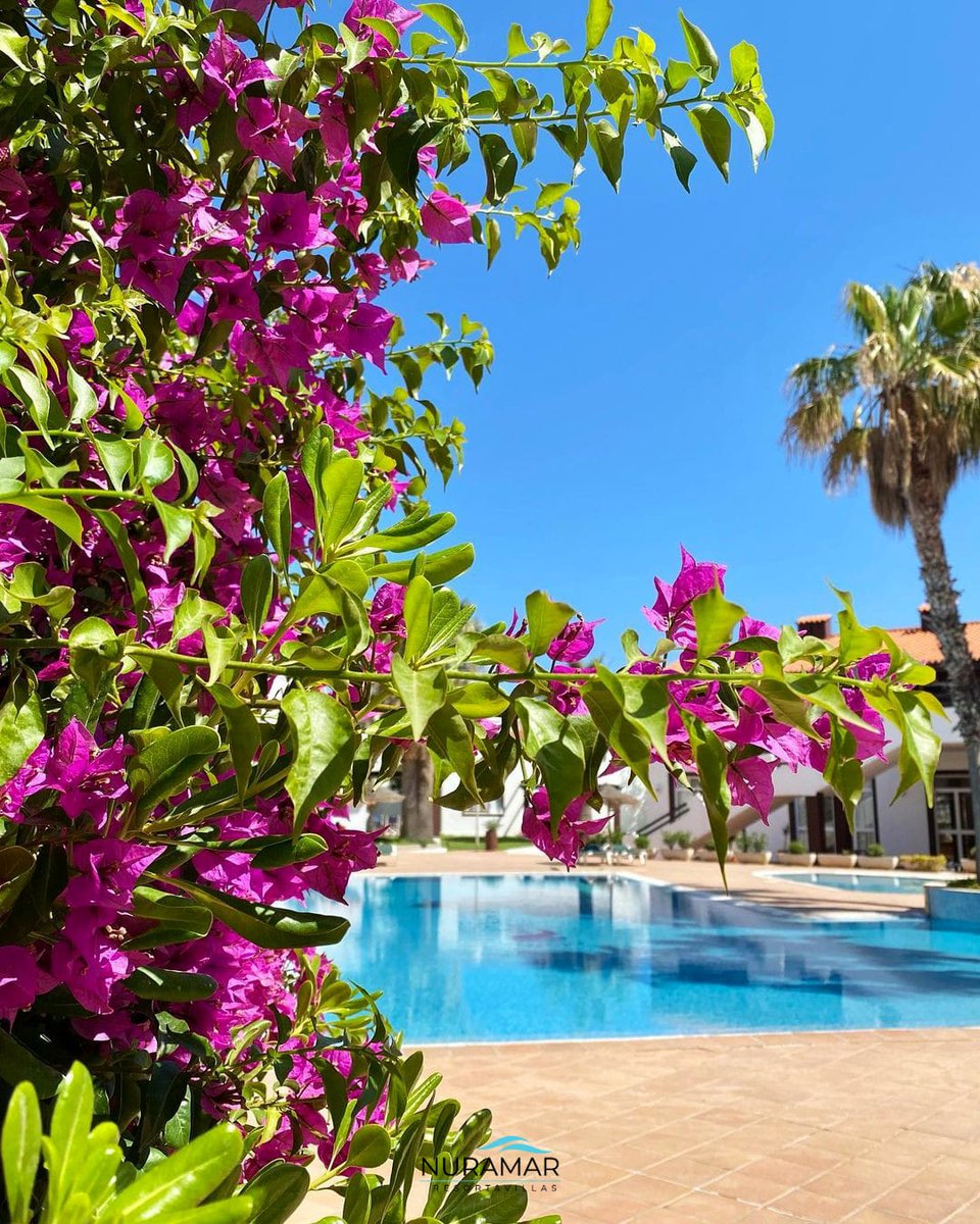 Tus vacaciones, un lugar ideal para disfrutar de unos dias de descanso ☀️ 🏖 🏊‍♂️

🤗 Te esperamos en Cala en Bosch !👇

📍Nuramar Resort &amp; Villas
・Info &amp; Reservas ⤵️
・nuramar.com
・M E N O R C A 💙

#nuramarresort #menorca