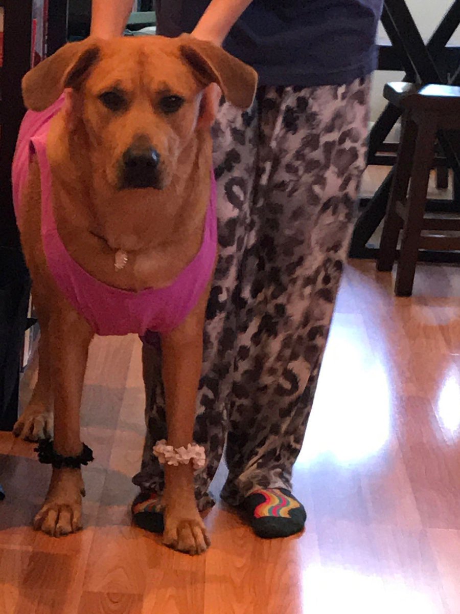 wclarkruns's tweet photo. Phew! #Twitter π
Happy Friday! Please help us share πΆ Amberβs fundraiser - even if you canβt donate we are so #thankful. ππΌβ€οΈ #rescuedog #fluffybuttFriday #LSUMom #ASPCA https://t.co/t5hEIhKS5K https://t.co/iUVyfT9wdl