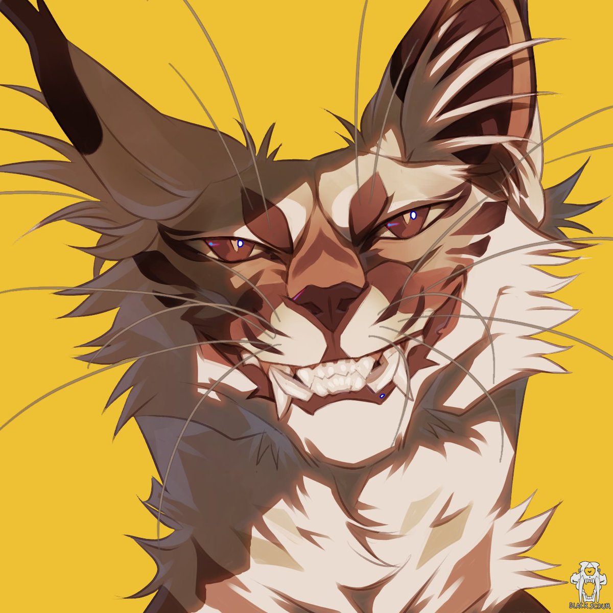 blackscour 🐯 tiger enthusiast tweet media