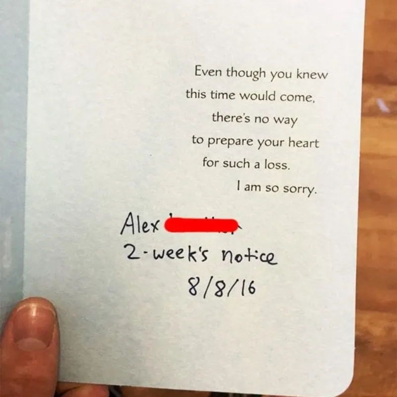 NickGrantham83's tweet photo. Quit your job so you can get a new one through me - will be well worth it just to use this as your notice 😂

#uxjobs #resignation #resignationletter https://t.co/Fx75OL9FfF