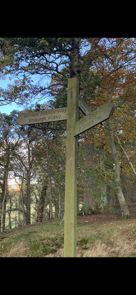 christine gow tweet media