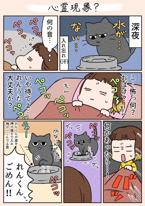 「心霊現象?」深夜の変な音の正体は…#猫 #日常#漫画がよめるハッシュタグ 