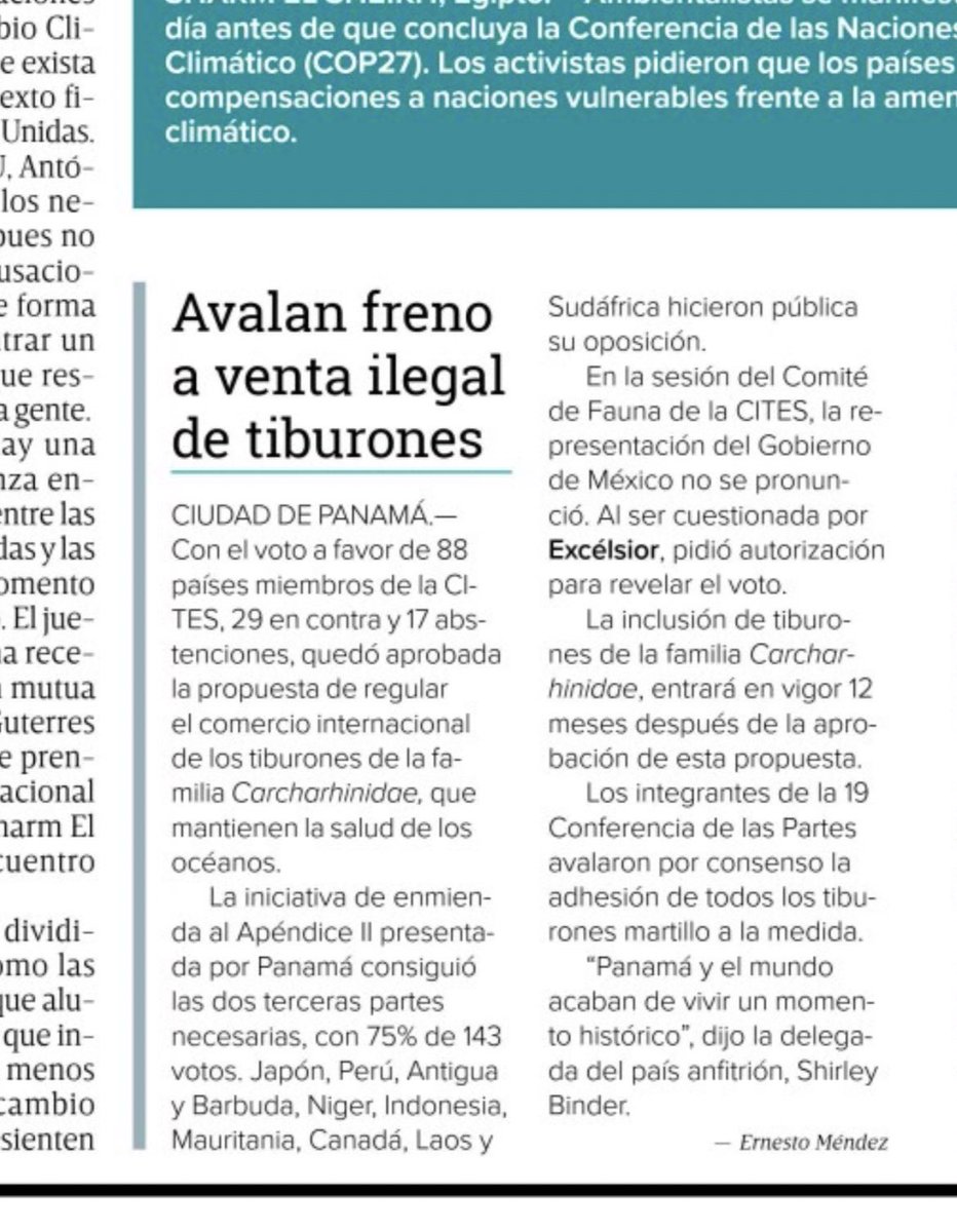 Aprueban en #COP19 de <a href="/CITES/">CITES</a> regulación al comercio internacional de tiburones 
#Panamá 
Vía <a href="/Excelsior/">Excélsior</a>