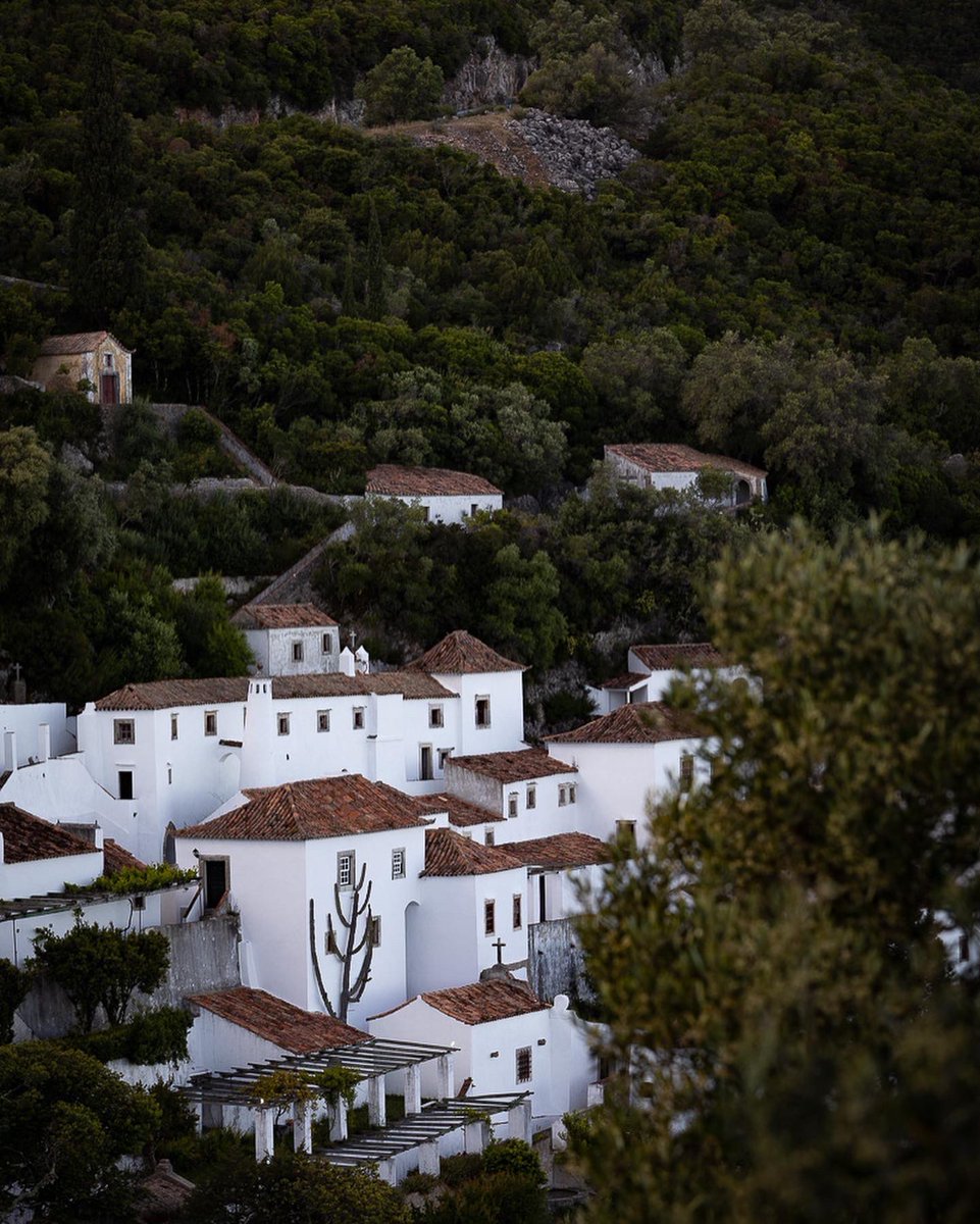 LuisMDRodrigues's tweet photo. ‼️
#Arrabida in Portugal 🇵🇹 

📷 @LuisMDRodrigues https://t.co/TF7lmVzSRM