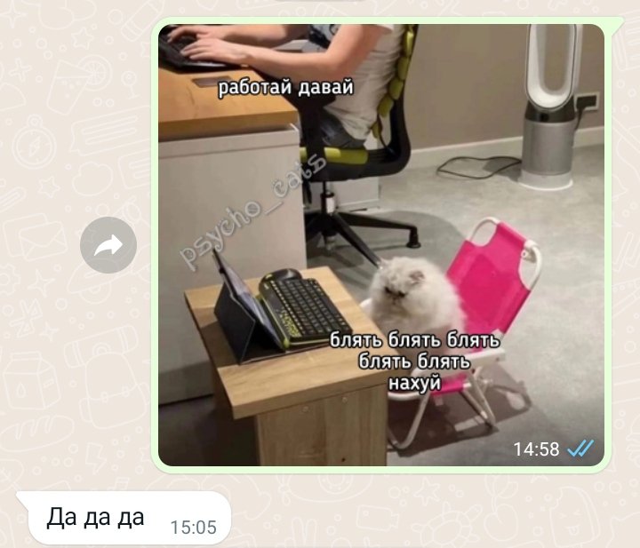 Май мам 💗