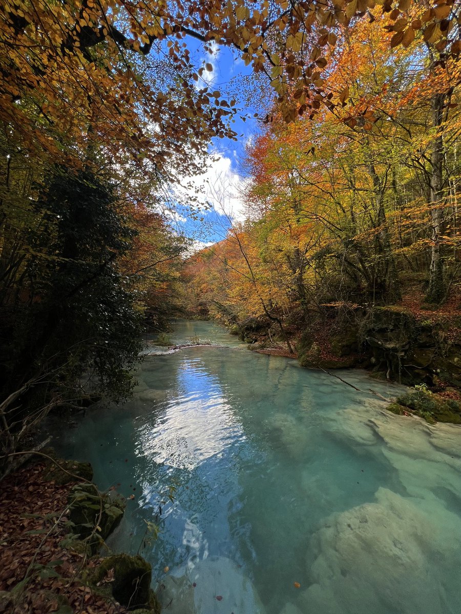 sanchadaniel's tweet photo. En otoño y entre semana (sin gente). Sin irse lejos, sitios increíbles
@zubiri7

📍Nacedero del Urederra y Balcón de Pilatos https://t.co/xjIDXsOYbK