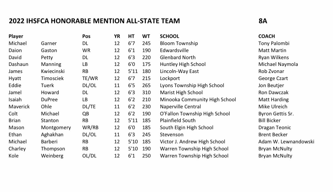 LT Lions Football tweet media