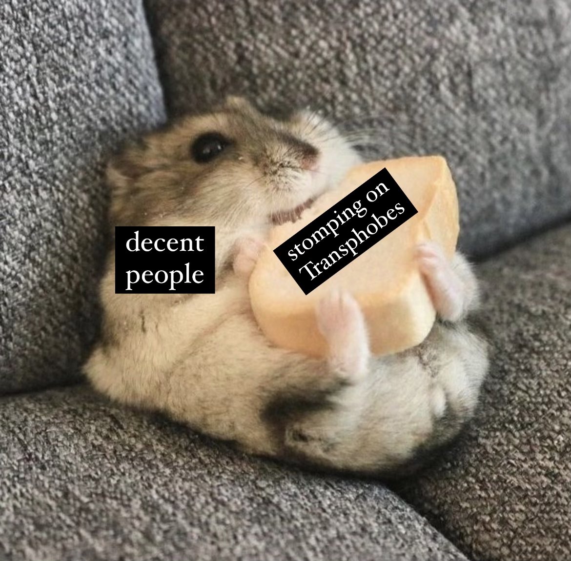 Feminist Flag Corps tweet media