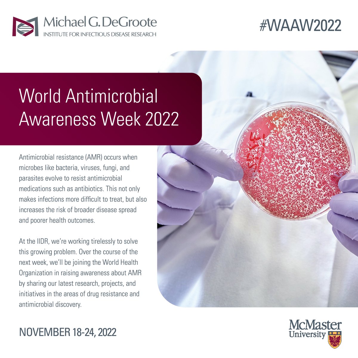 It's World Antimicrobial Awareness Week, a time to bring attention to the growing threat of antimicrobial resistance (#AMR). Over the course of the next week, we'll be sharing the ways in which the IIDR is working to solve this problem. Keep it here for more! #WAAW2022