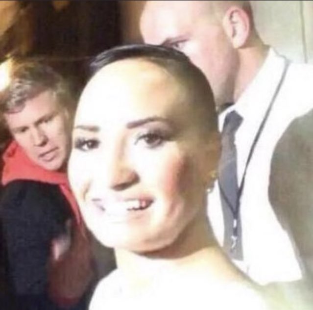 ellen tweet media