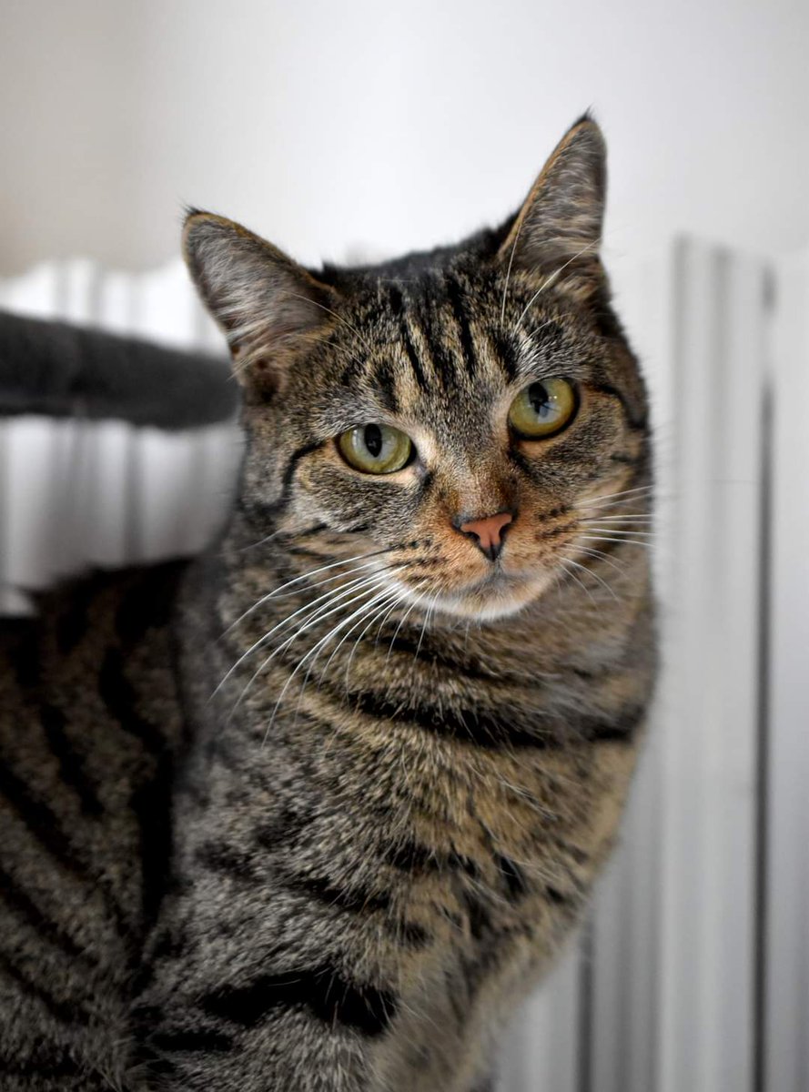 Association Owca tweet media