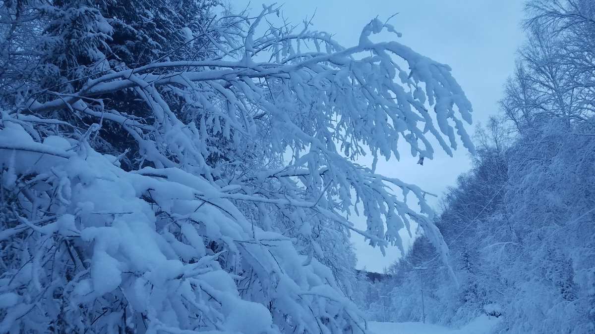 TruthYujin's tweet image. 