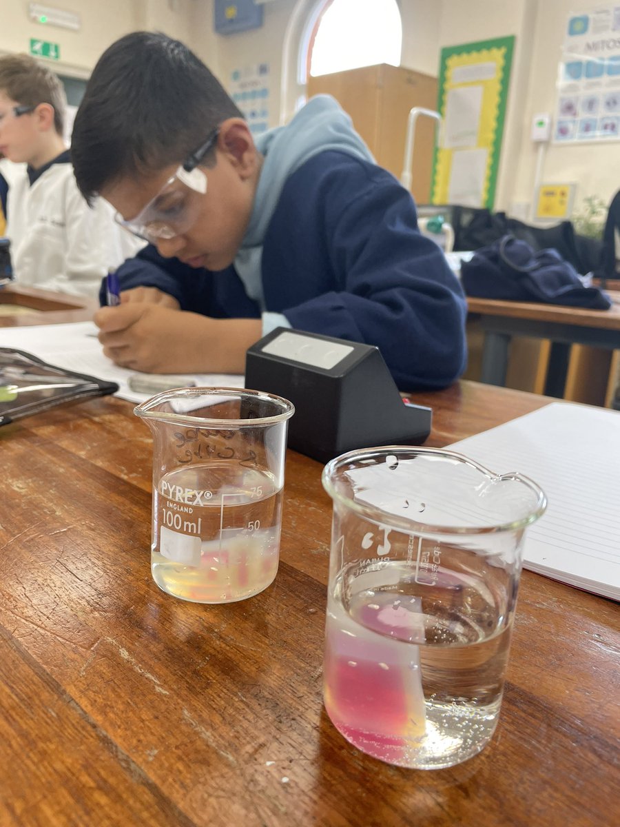 DerbyScientists's tweet photo. βThis is taking forever!β say #DerbyYear7, who are using their Maths skills and enquiry skills to investigate the effect of surface area on the rate of diffusion. #DerbyBiology #DerbyLearning https://t.co/A3GikjvW5R