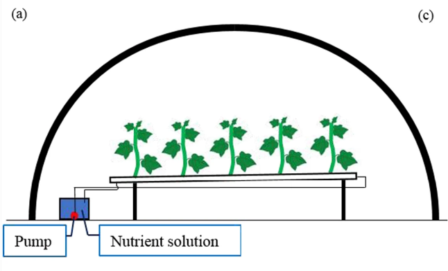Journal_JSSPN's tweet photo. Published ๐ข#Hydroponics with Split Nutrient Solution Improves #Cucumber Growth and Productivity
https://t.co/W4uHhzrIzo
#SplitRootSystem #NutrientSolution #Growth #Productivity https://t.co/LM60I3iVrR
