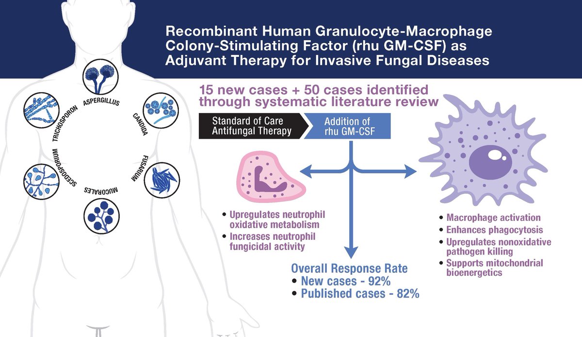 OFIDJournal's tweet photo. Recombinant Human Granulocyte-Macrophage Colony-Stimulating Factor (rhu GM-CSF) as Adjuvant Therapy for Invasive Fungal Diseases
🔓 Open Access
🔗 https://t.co/E0MBi5HHpu https://t.co/iDOi8Kwzru
