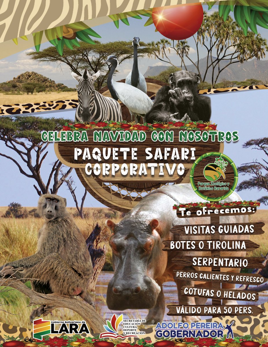 Paquete safari corporativo 👏🏼🤍
Para información contáctenos vía WhatsApp al 0412-5134286 📲