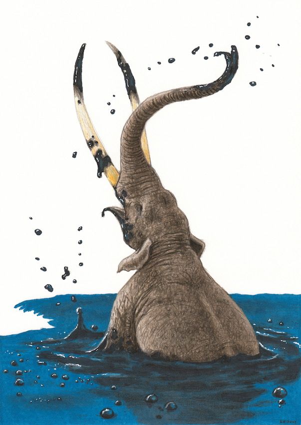 Robert Howard 🌻 tweet media