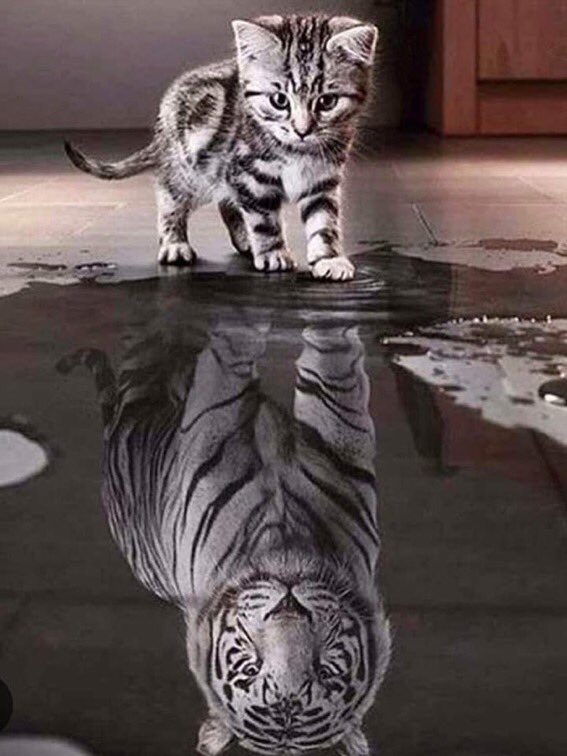 Si Twitter ferme, retour à la réalité pour nous tous…