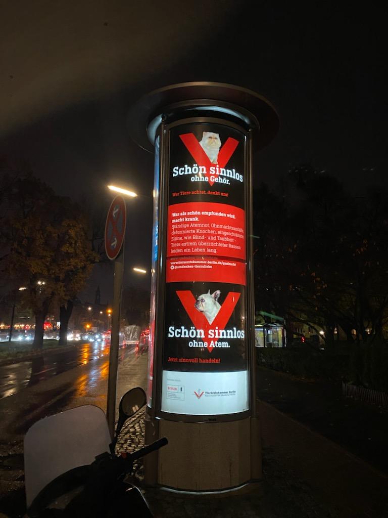 Neue Plakataktion der Tierärztekammer Berlin. Wer hat auch eines dieser Citylight Plakate gesehen? Bitte gerne ein Foto schicken an tieraerztekammer-berlin@gmx.de #umdenkentierzuliebe