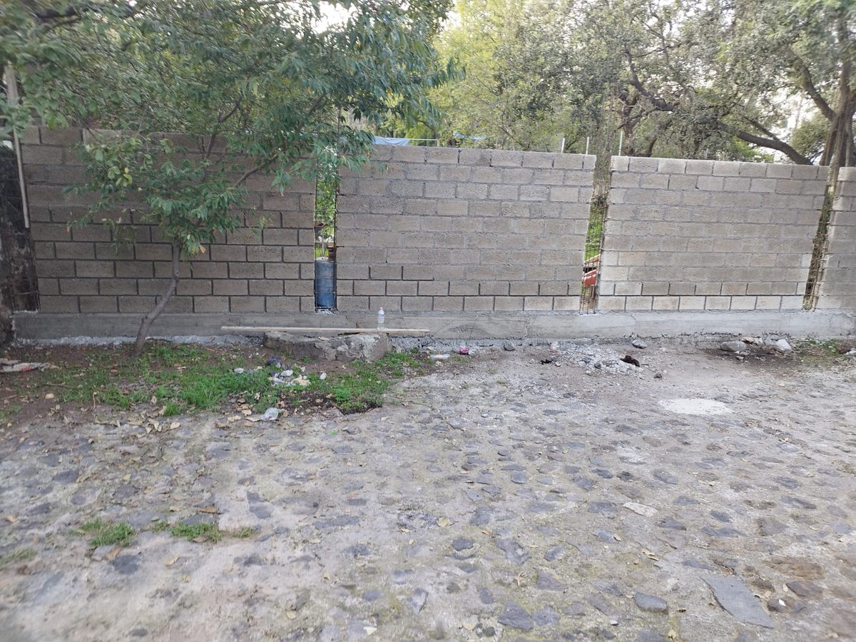 <a href="/TlalpanAl/">Alcaldía Tlalpan</a> <a href="/alfagonzalezm/">Alfa González</a> <a href="/AjuscoTlalpan/">Zona Ajusco Tlalpan</a> <a href="/TlalpanVecinos/">Tlalpan Vecinos</a> <a href="/TlalpanSoy/">SoyDeTlalpan</a> <a href="/EnTlalpan/">En Tlalpan</a> <a href="/PradoCoapa2da/">Prado Coapa 2a secc</a> <a href="/TlalpanConscien/">Tlalpan Consciente</a> <a href="/vecinoseguro/">Vecinos de Tlalpan</a> <a href="/SoloenTlalpan/">Sólo en Tlalpan</a> <a href="/TlalpanUnidos/">Tlalpan Unidos</a> El 16 octubre reporte la poda de árboles en Paraje Tetenco Tlalpan Boulevar de lis Arcos, sin respuesta de la Alcaldesa, PAOT, cerraron la calle pública y están construyendo, será un Cartel de Tlalpan, por ello no hacen nada.