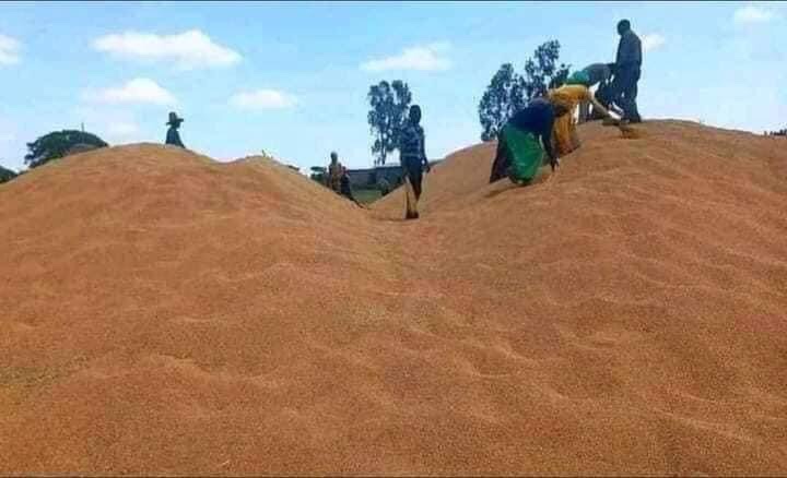 ArabicEthiopia's tweet photo. 🔴 #ناشط_إثيوبي : أثبتت إثيوبيا قدرتها على إمداد دول الجوار بالمياه والغذاء والكهرباء فهي تمتلك كل المقومات التي تجعلها رائدة في منطقتها وهاهي تمد ذراعيها للجميع... تعالو لنتعاون من أجل مصلحة شعوبنا.
-الناشط الأثيوبي #عبدالرحمن_بوسف 🇪🇹
#التنمية_للجميع
#إلى_الامام_اثيوبيا 🇪🇹🇪🇹🇪🇹 https://t.co/WAH8VJHdyH