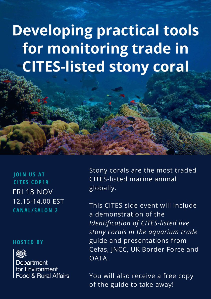 CefasGovUK's tweet photo. Calling all those at #CITESCoP19, head over to Salon 2 at 12:15pm to take part in the @DefraGovUK led side event “Developing practical tools for monitoring trade in CITES-listed stony coral” #CefasCoralScience #CefasScience
🧵1/3 https://t.co/JJ9a8yvpfA