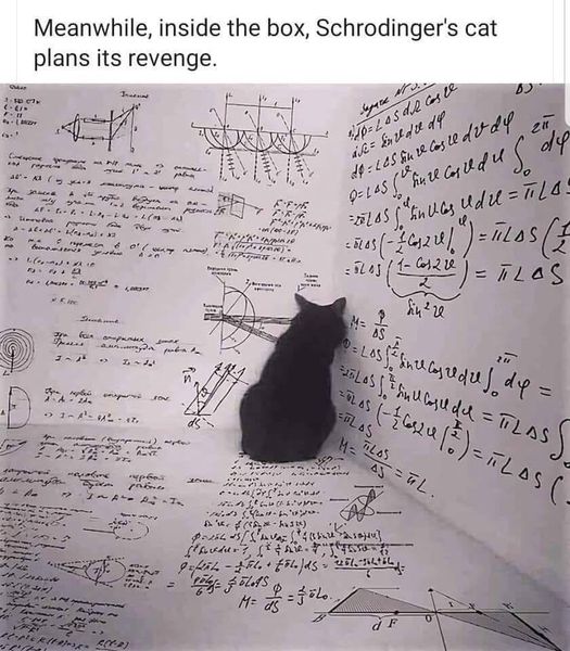4chicksdigital's tweet photo. ... or is he?

#FridayFunny https://t.co/RxHkPYRXvh