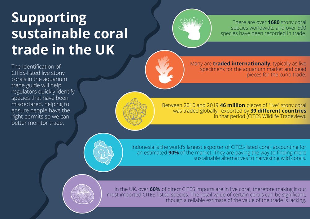 CefasGovUK's tweet photo. The workshop will include a demonstration of the recently launched "Identification of CITES-listed live stony corals in the aquarium trade guide" and presentations from @Joanna_M_Murray  @JNCC_UK  @UKBorder and @OATALtd #CefasCoralScience #CITESCoP19 🧵2/3 https://t.co/79QsgiAy2j