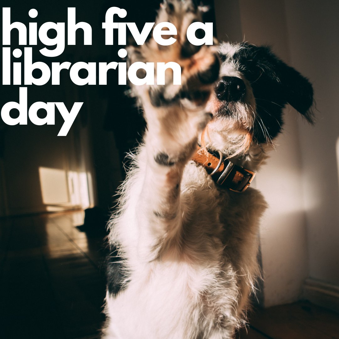 CravenCCLibrary's tweet image. It's everyone's favorite made-up holiday: High Five a Librarian Day! Find your favorite library professional and give them a high five (or an air five or a nod in passing) for a job well done. 
#HighFiveALibrarianDay #libraries #librarydogs