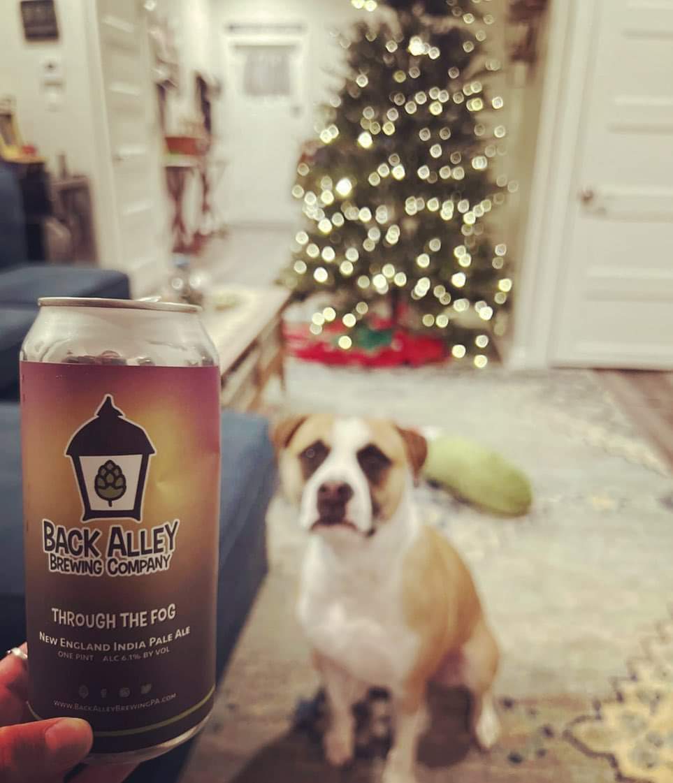 Too soon? Nah🎄Grab your best friend and a great brew and enjoy the weekend! To go sales Friday 5-8 and Saturday 12-6.

Pre-order here —&gt; commerce.arryved.com/location/Bb6OS…

[📸: Jenae S via Untappd]