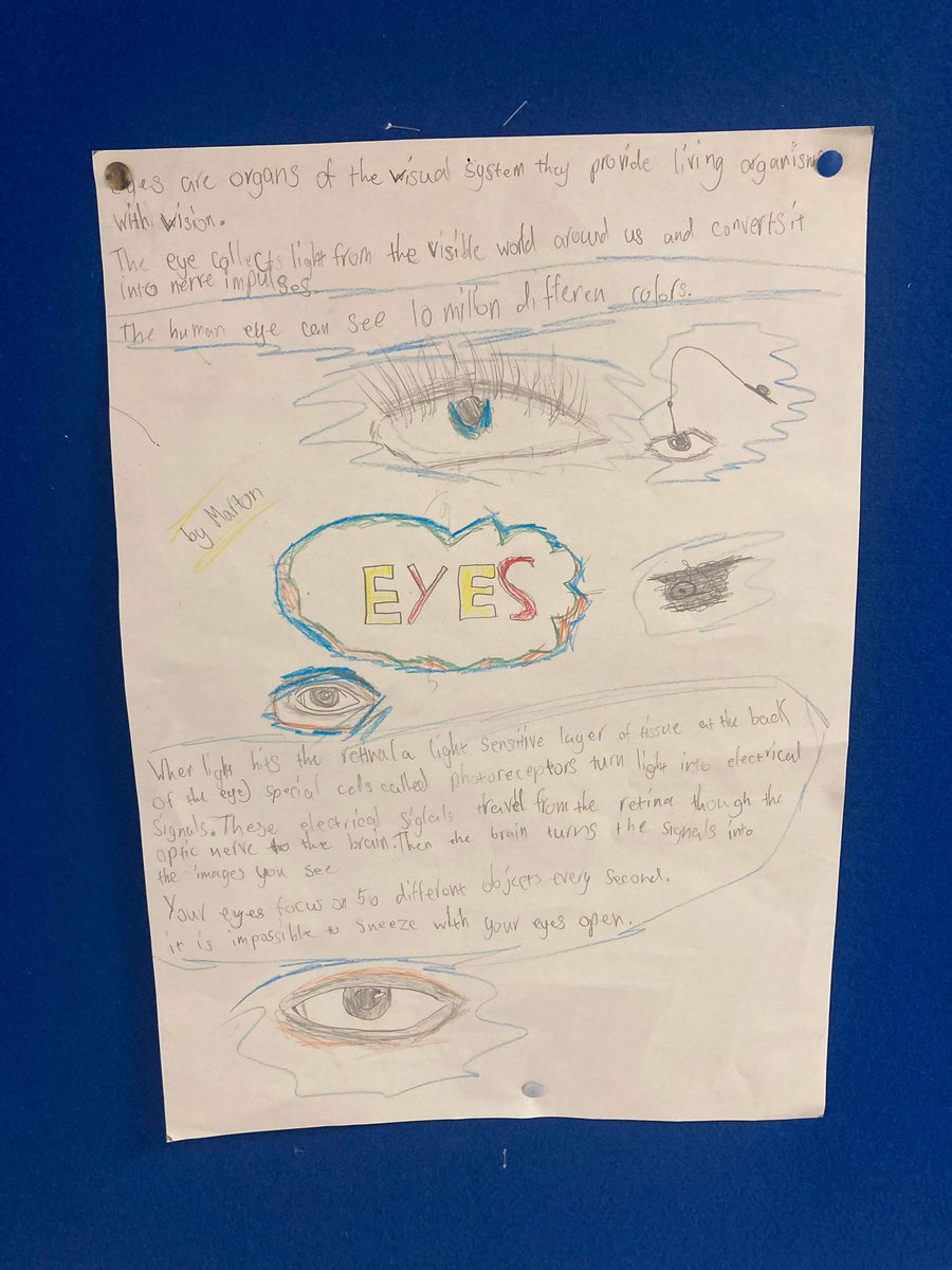 StKentsSci's tweet photo. Today we saw our learners sharing their work on organs and through group discussions, giving each other constructive feedback to continue to improve #pedagoofriday #stk #teamsci #stkway #variedapproaches @AHenderson_Chem https://t.co/uJ69fqFa9k